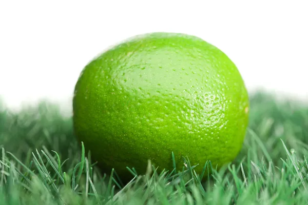 stock image Green lemon on grass
