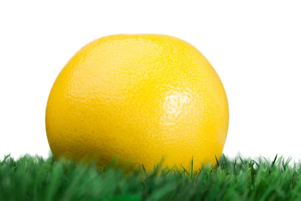 Grapefruit on grass — Stock Photo, Image