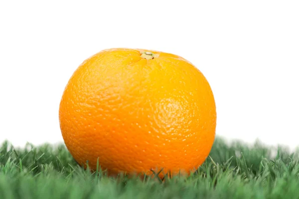 Orange on grass — Stock Photo, Image
