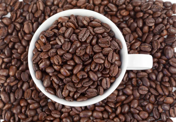 Piccola tazza bianca di caffè piena di chicchi di caffè — Foto Stock