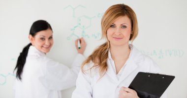 Two scientists in front of a white board clipart
