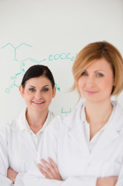 Cute women in front of a white board in a lab clipart