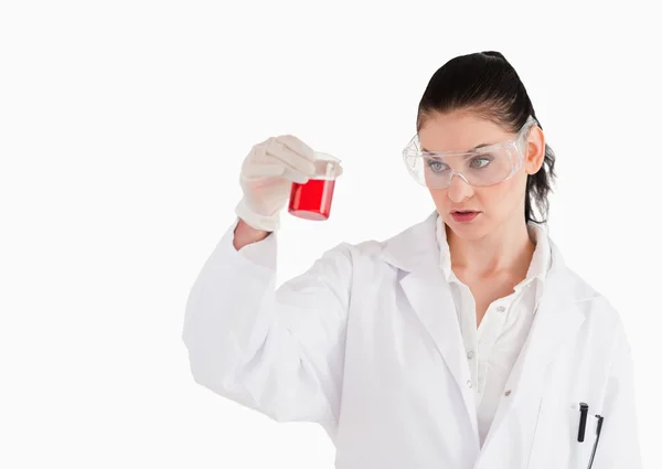 Dark-haired scientist with safety glasses looking at a red beake — Stock Photo, Image