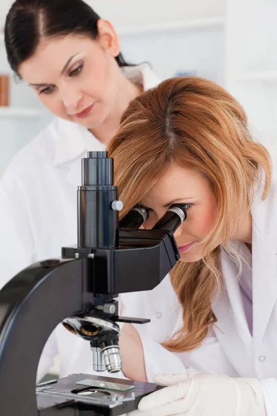 Linda científica mirando a través de un microscopio con su asistente — Foto de Stock