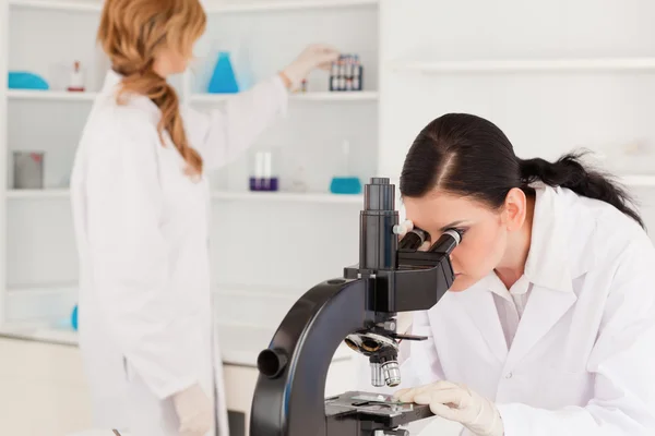 Científica de cabello oscuro mirando a través de un microscopio con su assi — Foto de Stock
