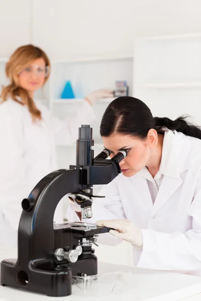 Two female scientists carrying out an experiment — Stock Photo, Image