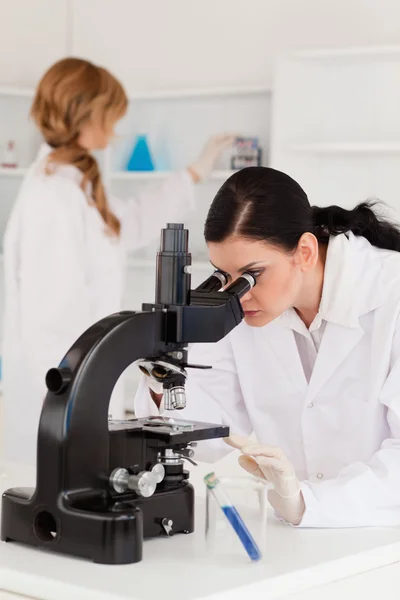 Two female scientists conducting an experiment — Stock Photo, Image