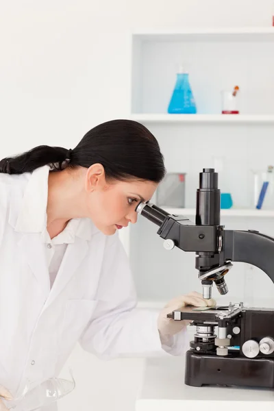 Темноволоса жінка-вчена дивиться через мікроскоп — стокове фото