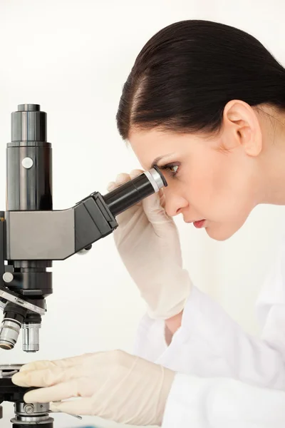 Scientist conducting an experiment looking through a microscope — Stock Photo, Image