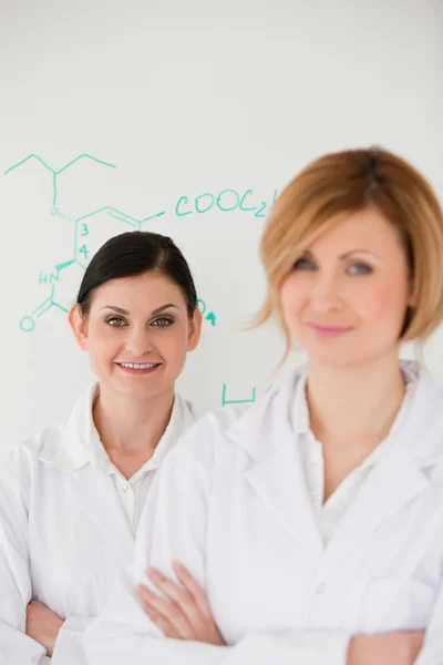 Mulheres bonitas na frente de um quadro branco em um laboratório — Fotografia de Stock