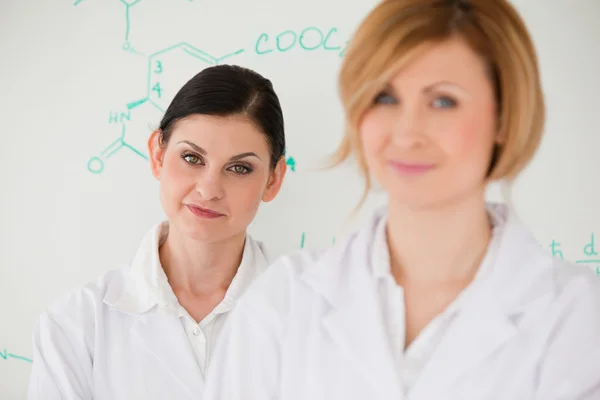 Mignonnes femmes devant un tableau blanc — Photo