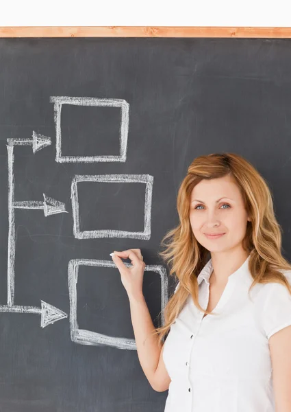 Cute female teacher drawing a scheme — Stock Photo, Image