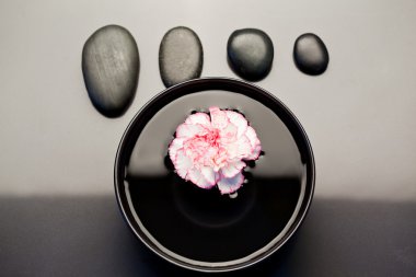 Pink and white carnation floating in a black bowl with aligned b clipart