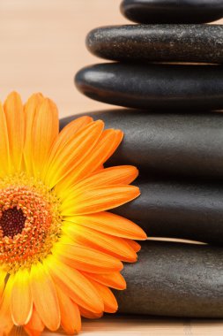 Close up of an orange sunflower and a black stones stack clipart