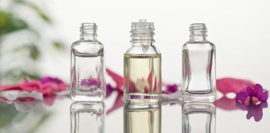 Glass flasks with leaves and pink petals focus on the flasks clipart