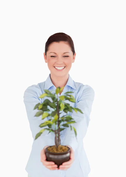 Attractive red-haired female holding a houseplant while standing — Stock Photo, Image