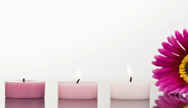 Зажжённые свечи и розовая гербера — стоковое фото