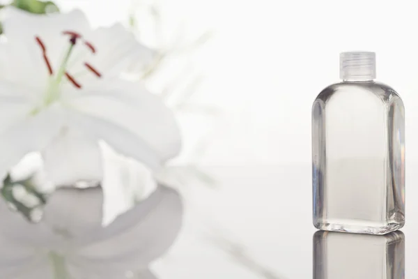Orquídea branca um frasco de vidro com uma câmera focada no objeto — Fotografia de Stock