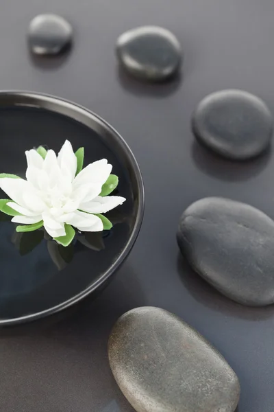 Закрыть белый цветок, плавающий в черной чаше, окруженной — стоковое фото