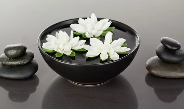 블랙 pebbl의 의해 둘러싸여 부동 꽃의 클로즈업 — 스톡 사진