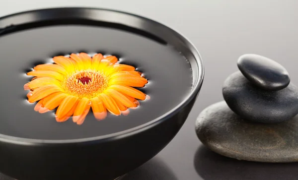 Narancs virág úszó egy fekete tál, és egy halom fekete pebb — Stock Fotó