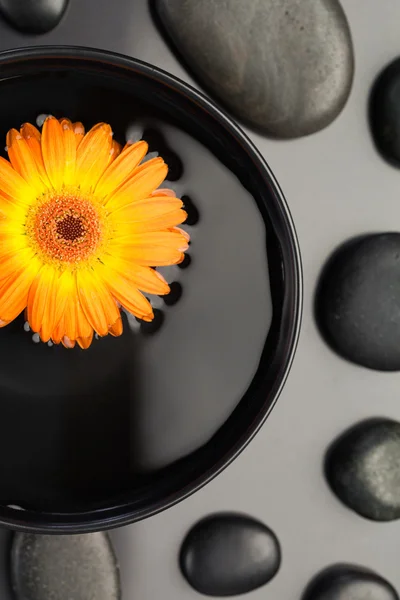 Апельсиновый цветок, плавающий в чаше, окруженной черной галькой — стоковое фото
