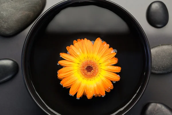 Portakal çiçeği siyah taşlarla çevrili bir kabın içinde yüzen — Stok fotoğraf