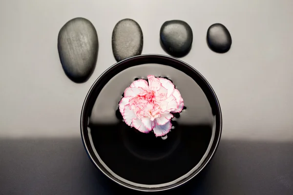 Pink and white carnation floating in a black bowl with aligned b — Stock Photo, Image