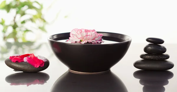 Cravo rosa flutuando em uma tigela com pétalas em uma pedra preta o — Fotografia de Stock