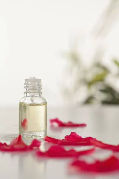 stock image Glass phial and pink petals