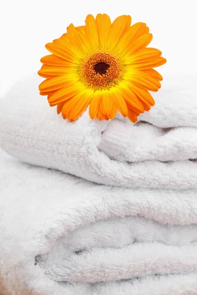 An orange sunflovers on white towels — Stock Photo, Image