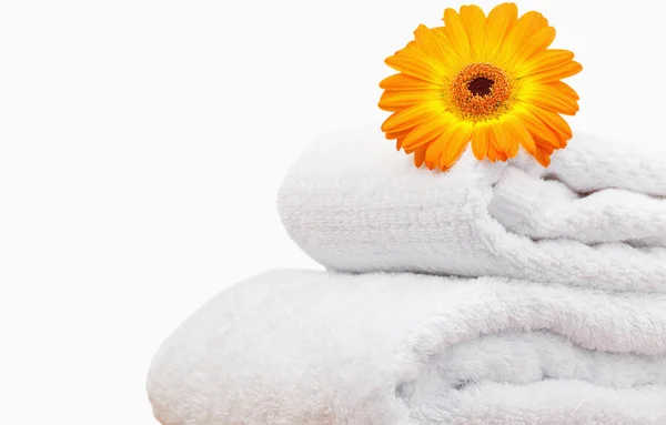 Close up van een zonnebloem op witte towels handdoeken — Stockfoto