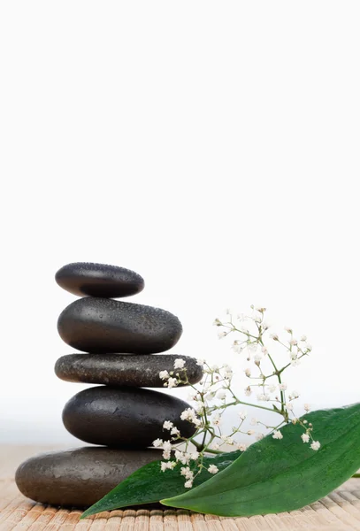 Stapel schwarzer Steine und kleine weiße Blüten mit Blättern — Stockfoto