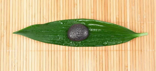 A black stone on a leaf — Stock Photo, Image