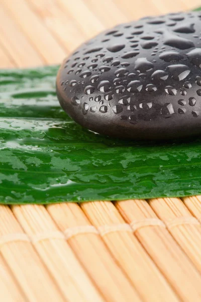 Close up of a black stone and a leaf — Stock Photo, Image