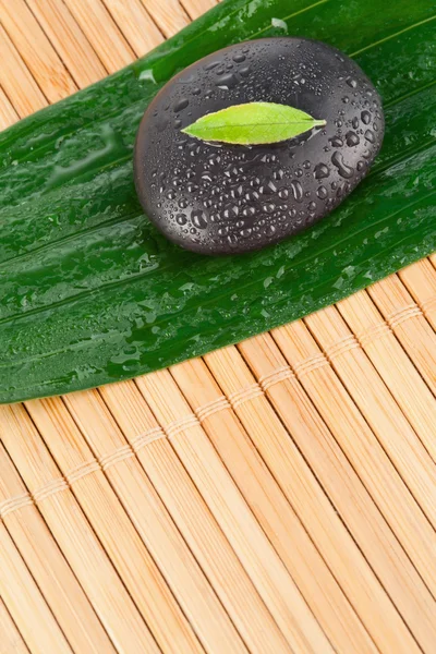 A small leaf on a black stone on a bigger leaf — Stock Photo, Image