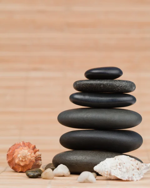 Sea shells and pebbles — Stock Photo, Image