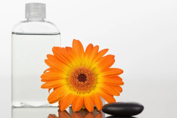 A black pebble with an orange gerbera and a glass flask — Stock Photo, Image