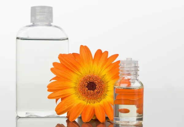 Sebuah labu kaca dan jeruk gerbera dengan botol kaca — Stok Foto