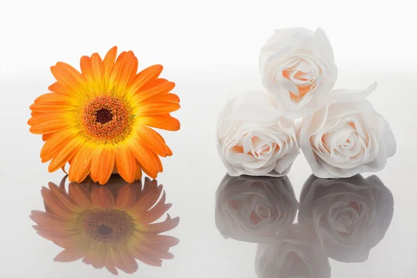 Rosas blancas y gerberas naranjas en un espejo —  Fotos de Stock