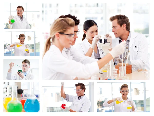 Colagem de vários cientistas fazendo experimentos — Fotografia de Stock