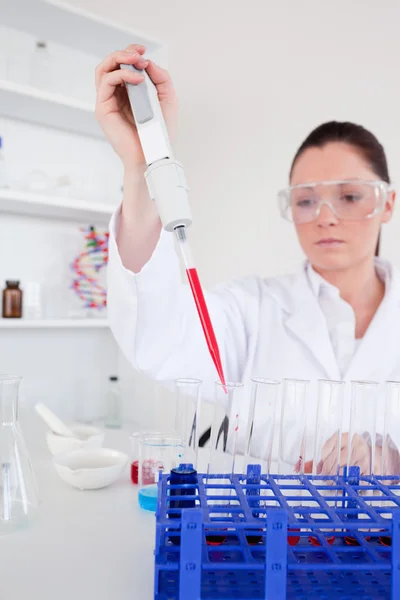 Mooie vrouwelijke bioloog bedrijf een handmatige Pipetteer met samp — Stockfoto