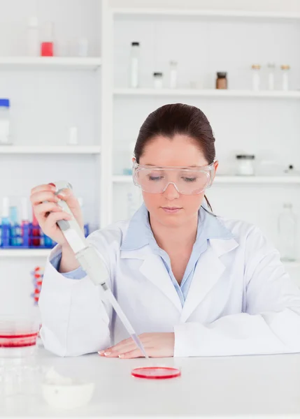 Young scientist preparing a sample — Stock Photo, Image