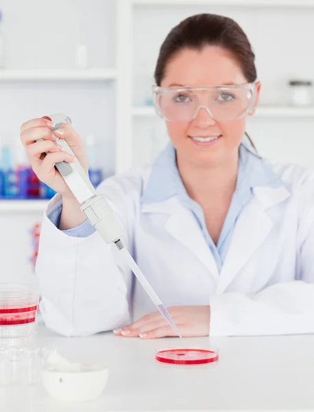 Retrato de un joven científico preparando una muestra mientras mira — Foto de Stock