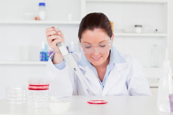 Cute scientist preparing a sample — Stock Photo, Image