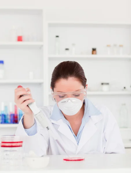 Portrait of a beautiful scientist preparing a sample wearing a s — Stock Photo, Image