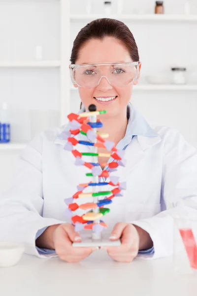 Молодой ученый показывает модель двойной спирали ДНК — стоковое фото