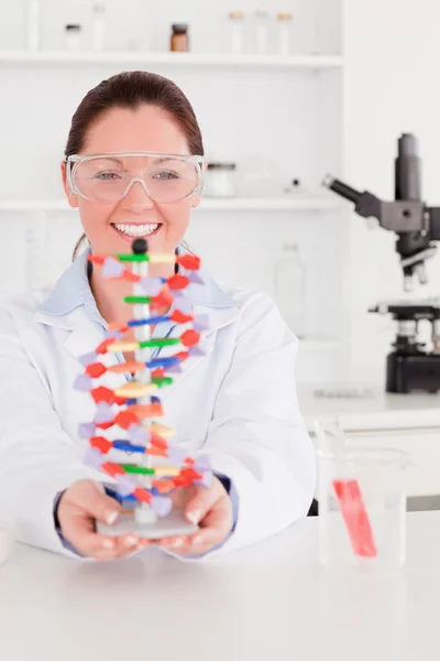 Portrait of a smiling scientist showing the dna double helix mod — Stock Photo, Image