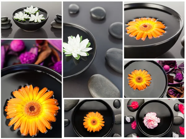 Collage av flera skålar med småsten i medicinska sammanhang — Stockfoto