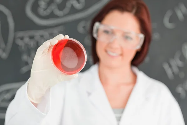 O kızıl saçlı bilim adamı bir petri kamera ile tutarak odaklı — Stok fotoğraf